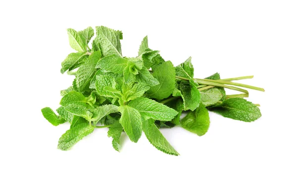 Foglie di menta fresca — Foto Stock