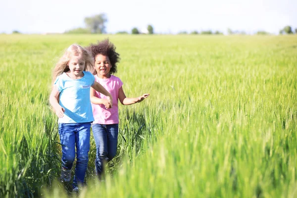 Щасливі маленькі дівчата в зеленому полі — стокове фото