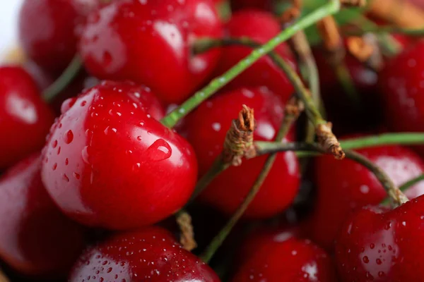 Frische reife Kirschen — Stockfoto