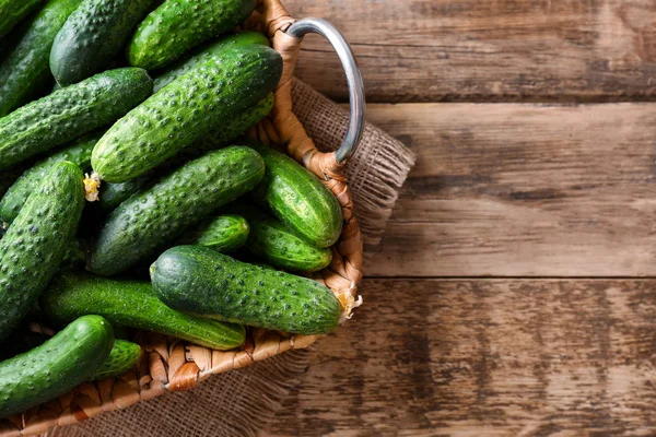 Olgun taze salatalık 