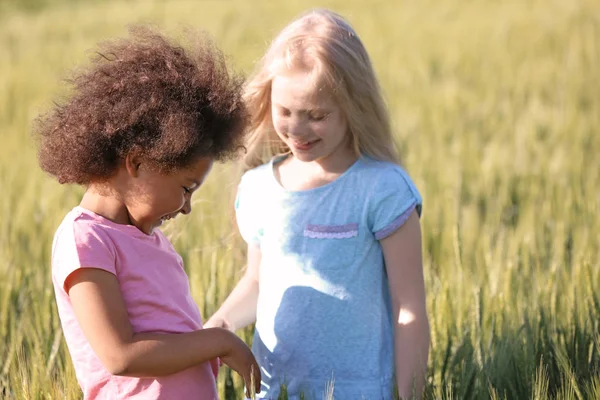 Meninas felizes no campo verde — Fotografia de Stock