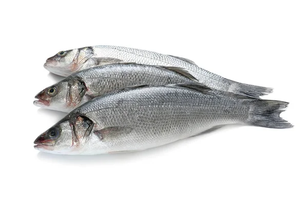 白の新鮮な魚 — ストック写真