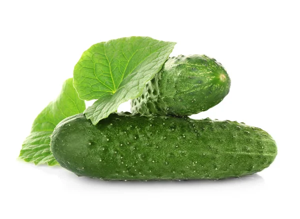 Ripe fresh cucumbers — Stock Photo, Image