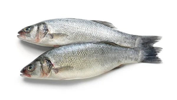 Peixe fresco sobre branco — Fotografia de Stock