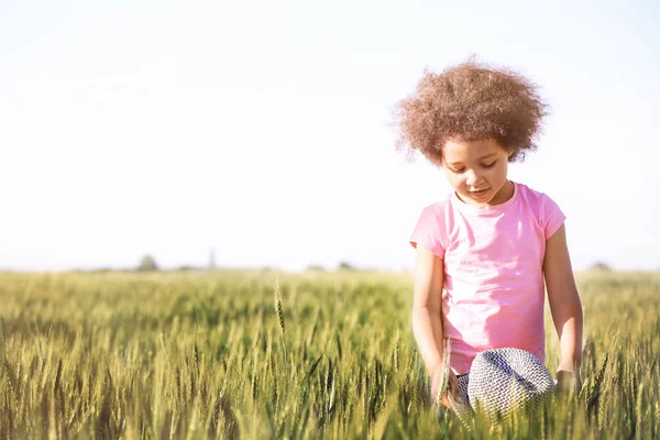 小黑人的美国姑娘，在绿色的田野 — 图库照片