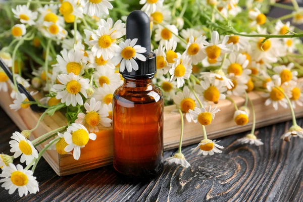 Essential oil and chamomile flowers — Stock Photo, Image