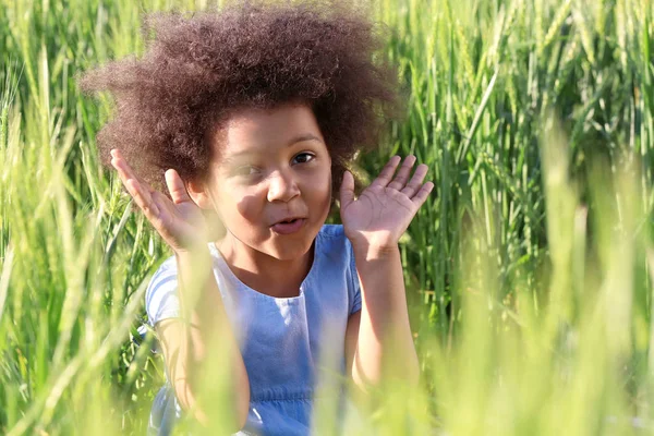 Petite fille afro-américaine dans le champ vert — Photo