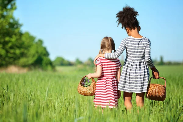 Happy little girls with wicker baskets in green field — Stock Photo, Image