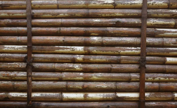 Textura de bambu como fundo — Fotografia de Stock