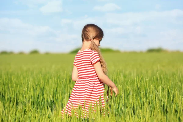 Kleines Mädchen im grünen Feld — Stockfoto