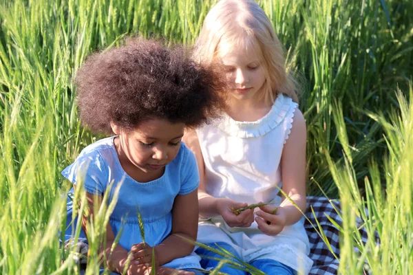 Niñas felices en el campo verde — Foto de Stock