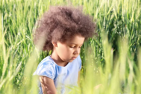 Pequena menina afro-americana em campo verde — Fotografia de Stock