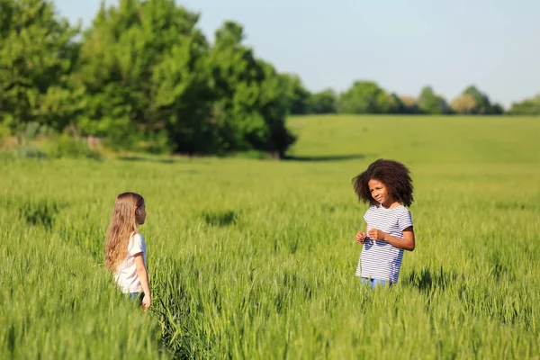 Glückliche kleine Mädchen im grünen Feld — Stockfoto