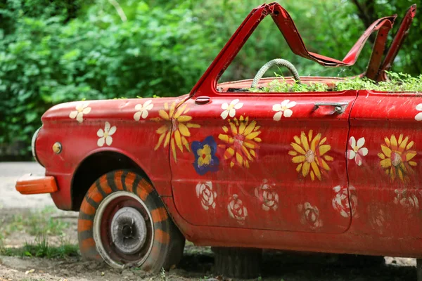 Växter i blomsterrabatt tillverkad bil — Stockfoto
