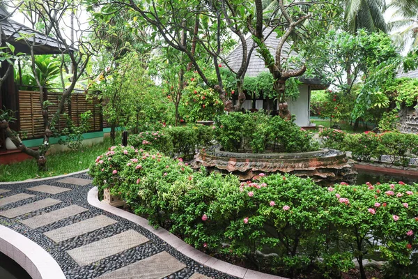 Hermoso jardín en el complejo tropical — Foto de Stock