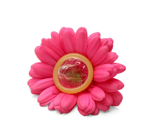 Contraception concept. Flower with condom on white background — Stock Image Contraception concept. Flower with condom on white background Stock Photo