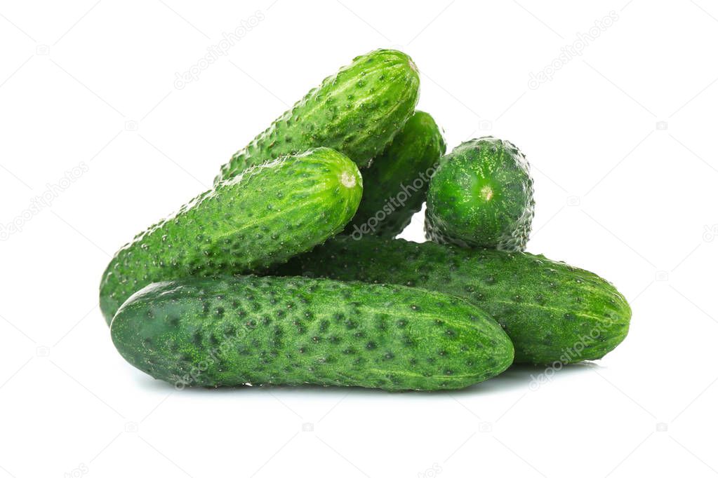 Ripe fresh cucumbers 