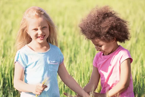 Niñas felices en el campo verde —  Fotos de Stock