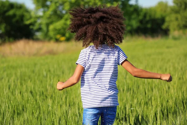 Pequena menina afro-americana em campo verde — Fotografia de Stock