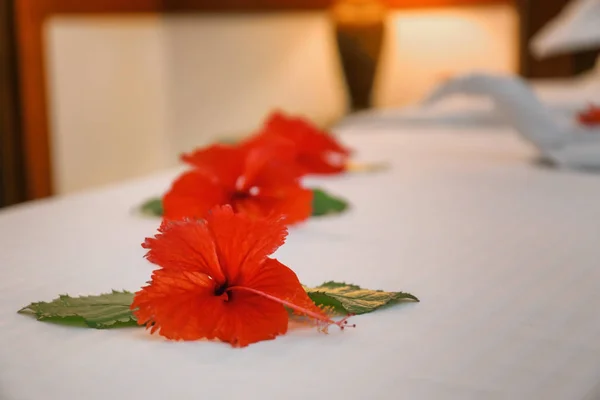 美丽的花朵，在旅馆房间里的床上 — 图库照片
