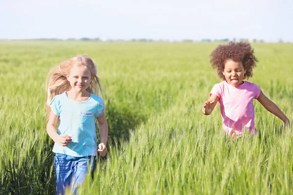 Meninas felizes no campo verde — Fotografia de Stock