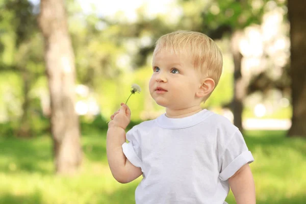 Bayi laki-laki lucu dengan dandelion di taman hijau pada hari yang cerah — Stok Foto