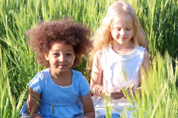 Счастливые маленькие девочки в зеленом поле — стоковое фото