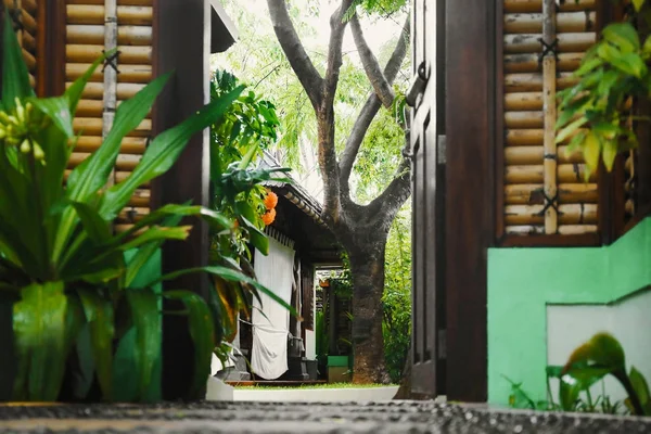 Красивий сад на тропічному курорті — стокове фото