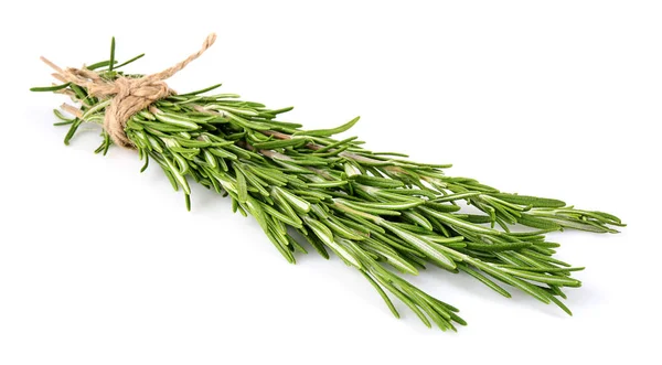 Rosemary verde sobre fundo branco — Fotografia de Stock