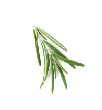 beyaz zemin üzerine yeşil biberiye