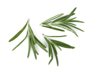 beyaz zemin üzerine yeşil biberiye