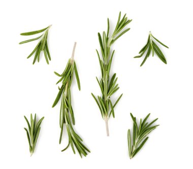 beyaz zemin üzerine yeşil biberiye