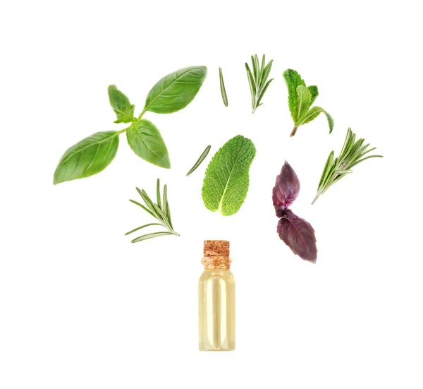 Бутылка с маслом и листьями трав — стоковое фото
