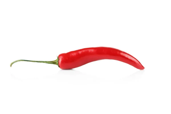 Chili peppar på vit bakgrund — Stockfoto