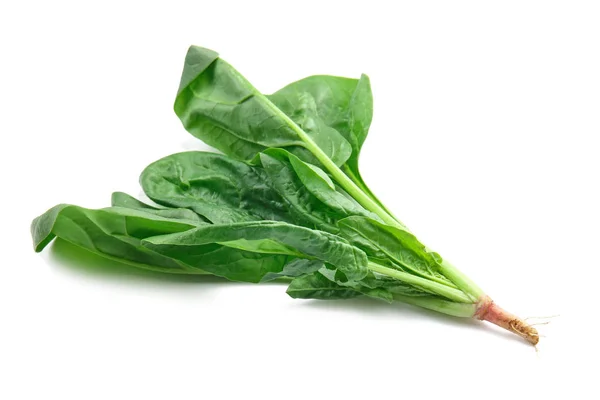 新鲜菠菜叶 — 图库照片