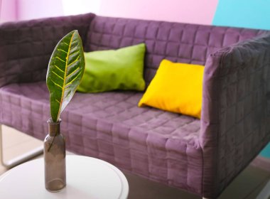 Kanepe kapalı yakınındaki cam vazoda tropikal yaprak