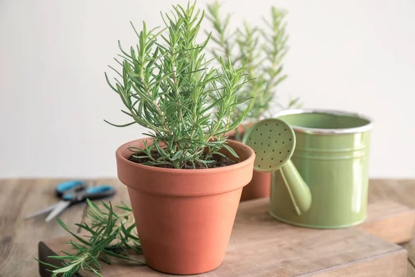 Biberiye tablo ile pota