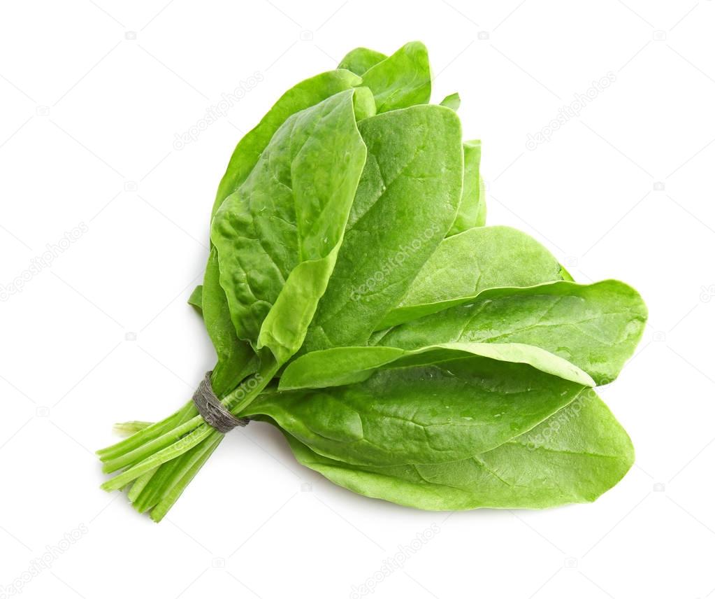 Fresh bunch of spinach on white background