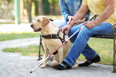 Genç kadın ve rehber köpek ile kör adam