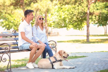 Genç adam ve rehber köpek parkta bankta oturmuş kör kadınla