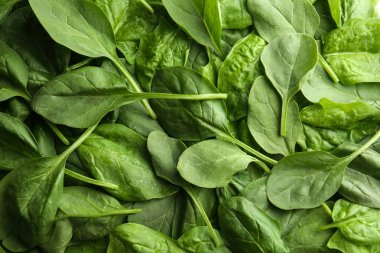 taze ıspanak yaprakları