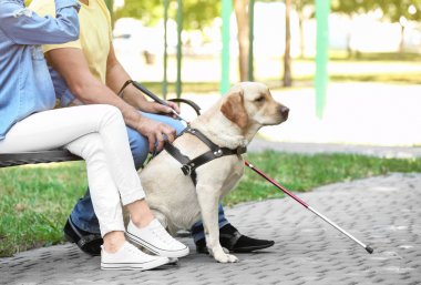 Genç kadın ve rehber köpek ile kör adam 