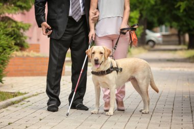 Rehber köpek ile kör kadın ve erkek 