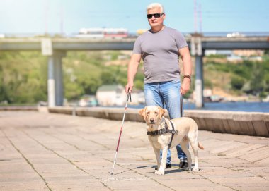 Rehber köpek dolgu üzerinde kör adam yardım