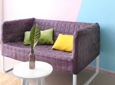 Kanepe kapalı yakınındaki cam vazoda tropikal yaprak