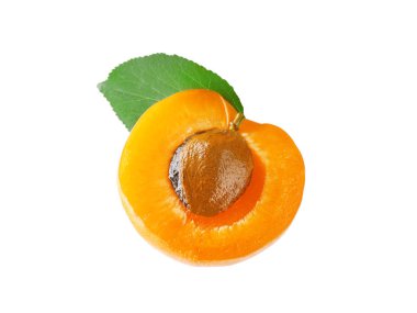 Beyaz arka plan üzerinde taze kayısı yarısı