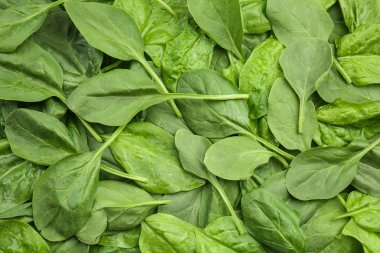 Arkaplan olarak taze ıspanak yaprakları