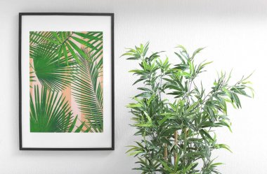 Tropikal yaprak ve houseplant resmi