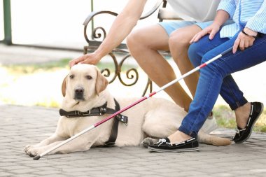 Genç adam ve rehber köpek kör kadınla