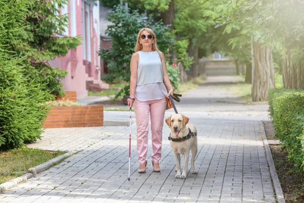 Cão guia ajudando mulher cega na cidade — Fotografia de Stock